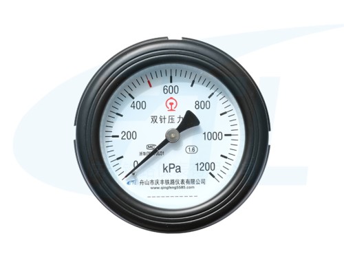 YYS-100Z Double needle pressure gauge -HXN5