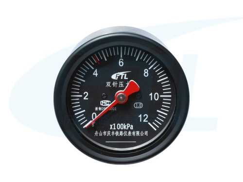 YTS-80Z double needle pressure gauge