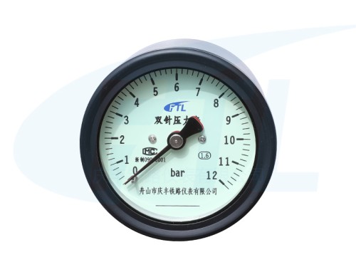 YYS-80Z double needle pressure gauge