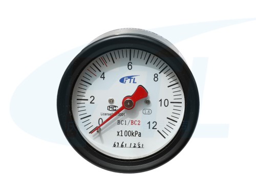 YTS-80Z Double Needle Pressure Gauge (Outlet)