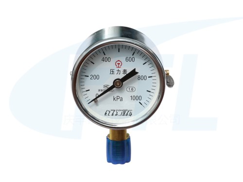 Y60 single needle pressure gauge