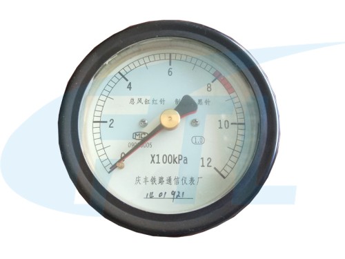 YTS-80Z Double Needle Pressure Gauge (Cold car)