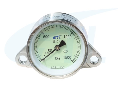 Y80B-1500 manometer